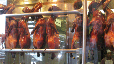 Sam Woo BAR-B-Q Restaurant photo