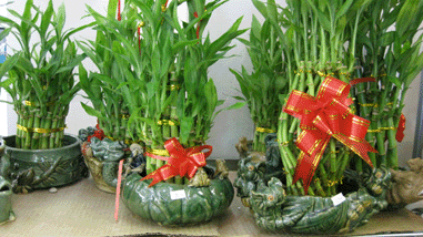 GIGA GIFT photo